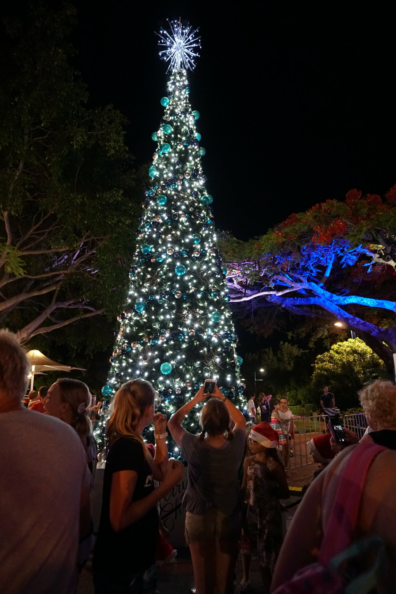 Christmas tree to light up Redlands Coast festive season - Redlands Coast Today