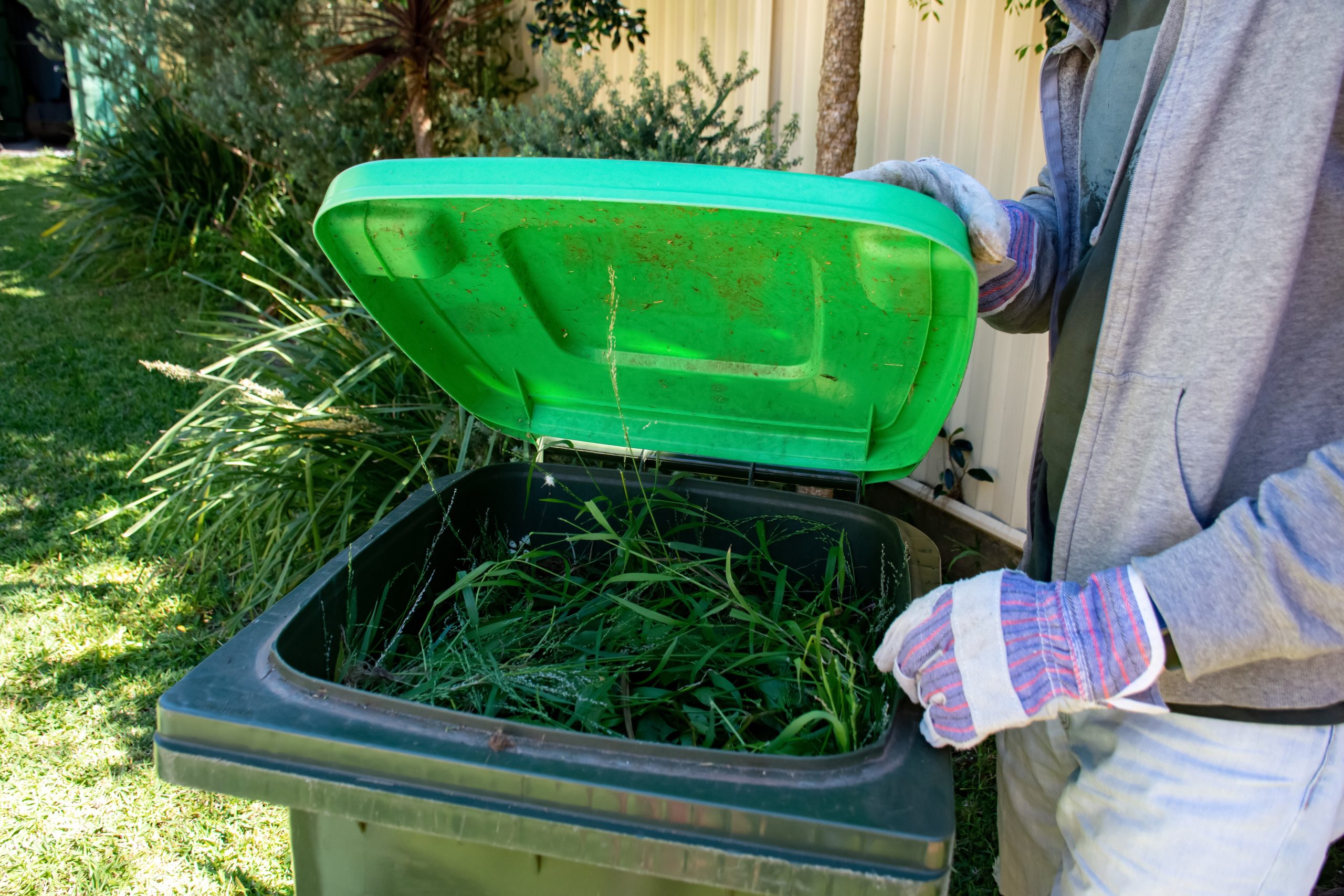 lime-green-lid-bins-are-for-green-waste-only-redlands-coast-today