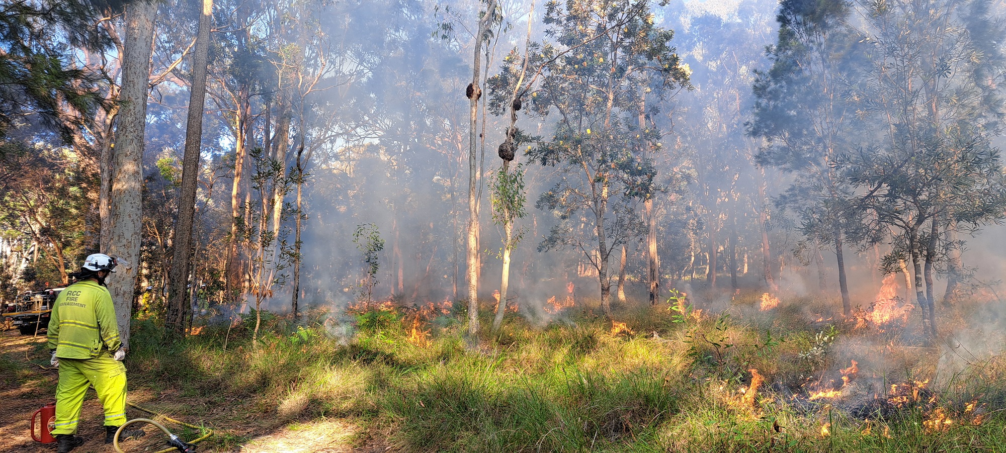 Planned Burn: North Stradbroke Island – 18 To 21 June 2024 - Redlands 